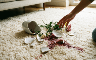 Assurance Conciergerie : Êtes-vous couvert si un voyageur casse tout ?